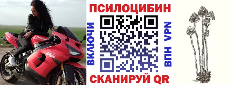 как найти закладки  Салават  Псилоцибиновые грибы мицелий 